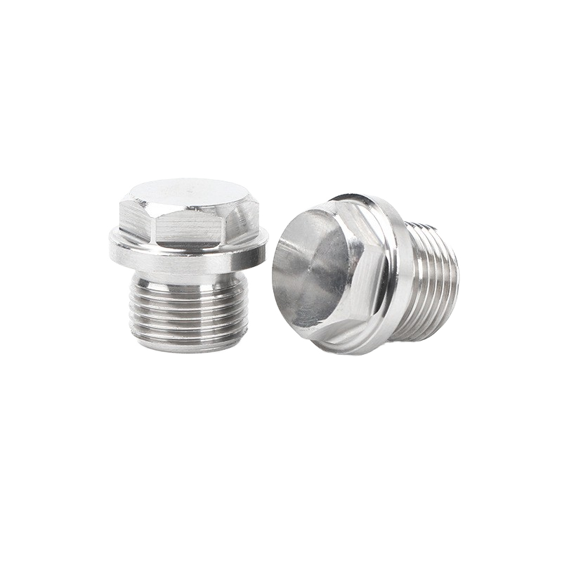 Engine Oil Pan Pipe Plug
